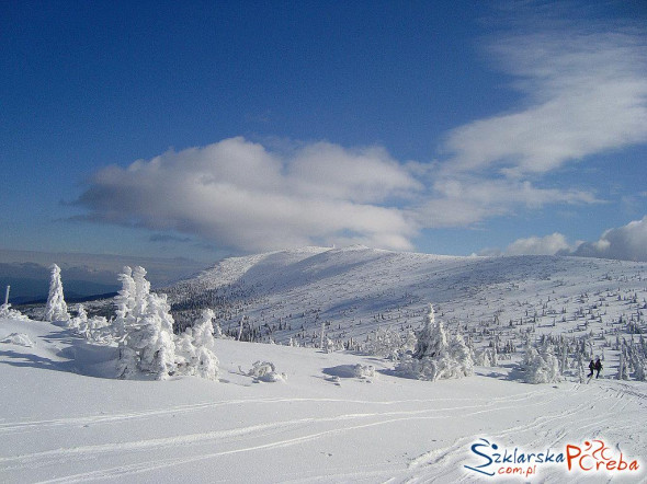 Karkonosze zimą w okolicach Szrenicy