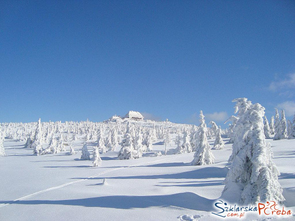Szrenica zimą 4.02.2018