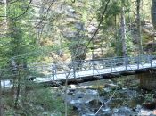 mostek przed Schroniskiem Kochanówka