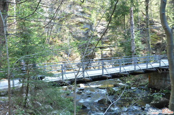 mostek przed Schroniskiem Kochanówka
