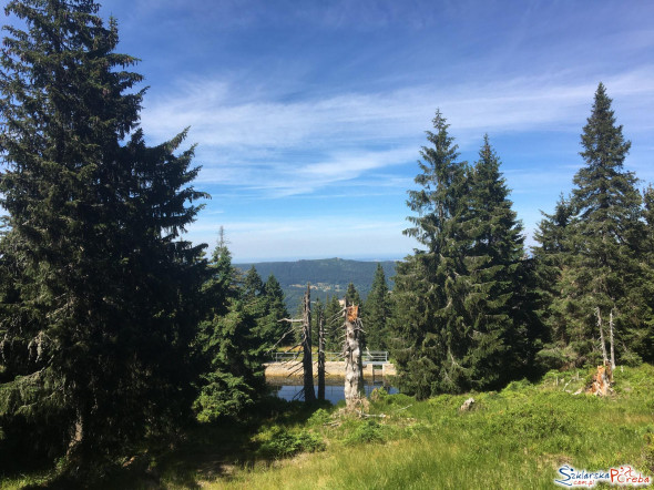 zbiornik retencyjny  w okolicach zielonego szlaku z Jakuszyc na Halę Szrenicką