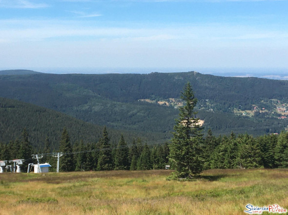 Hala Szrenicka w lipcu