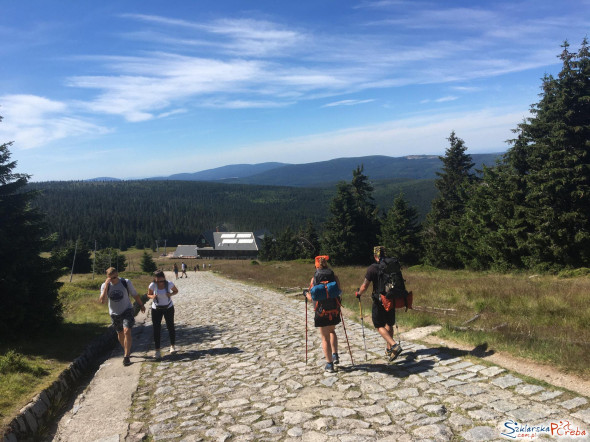 Hala Szrenicka w lipcu