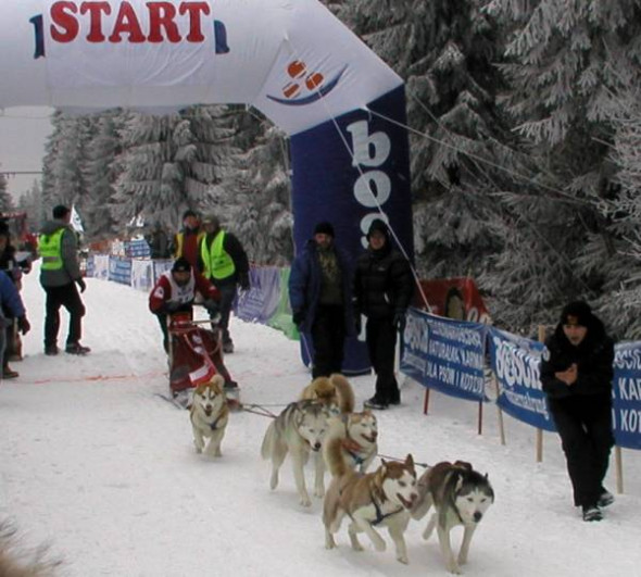 Na starcie Bieg Psich Zaprzegów na Polanie Jakuszyckiej
