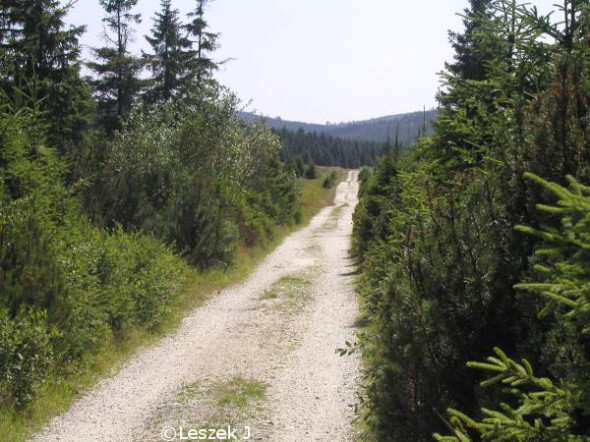 Droga z Jakuszyc do Schroniska Orle