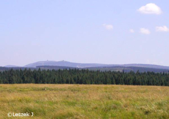 Widok na Karkonosze