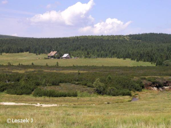 Widok na Chatkę Górzystów