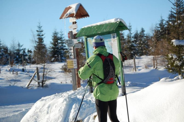 Polana Jakuszycka trasy biegowe