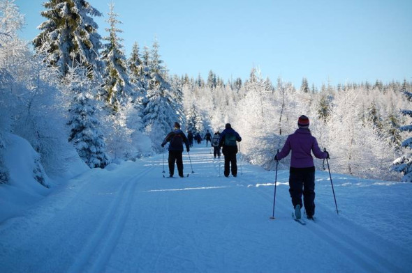 Polana Jakuszycka biegówki