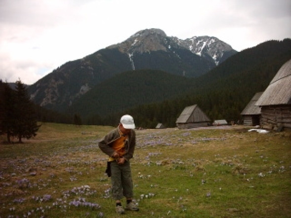 czyż nie jest pięknie