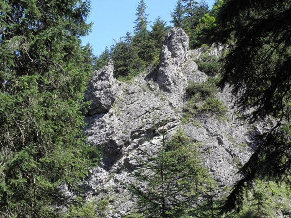 Dolina Białego Potoku