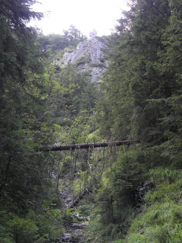 Dolina Strążska