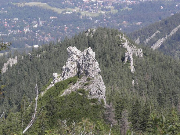 Widok z Sarnich Skałek na Zakopane