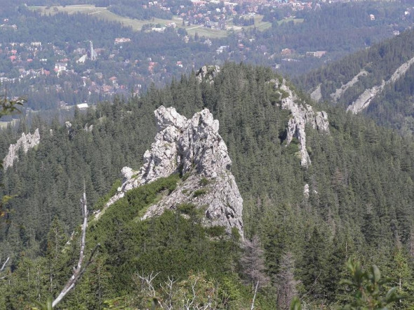 Widok z Sarnich Skaek na Zakopane