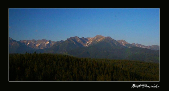 Panorama Tatr z Głodówki