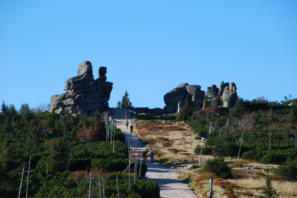 Trzy Świnki 1290 m n.p.m.