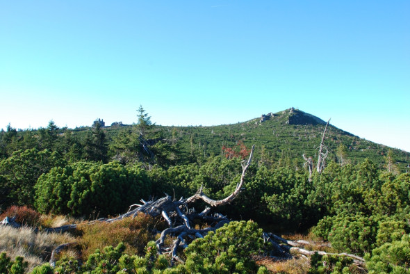 Szrenica 1362 m n.p.m.