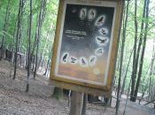 Leśny Park Niespodzianek w Ustroniu