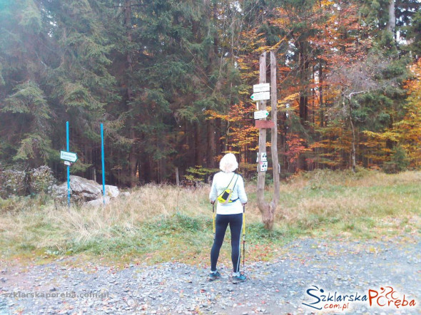 Nordic Walking w Górach Izerskich