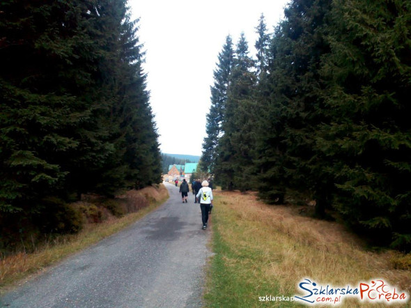 Droga do Schroniska Orle