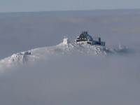 Szrenica